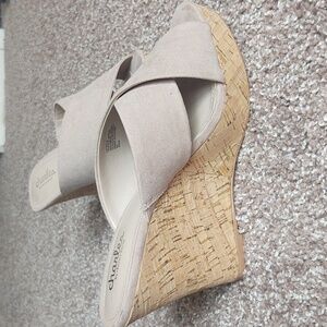 Charles Wedges